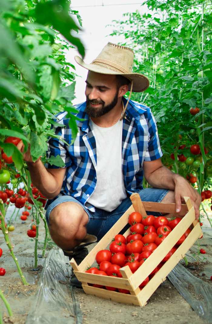 gay rural ministerio dos direitos humanos 